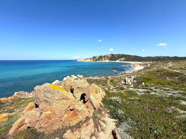 villa singola con terreno in vendita a Trinità d'Agultu e Vignola