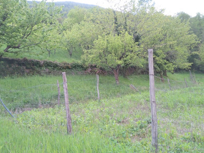 Terreno Agricolo a Cembra Lisignago