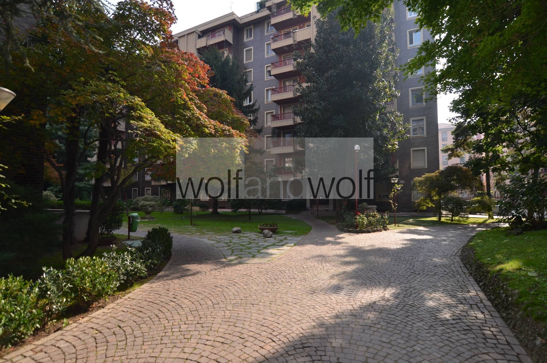 Wolf And Wolf