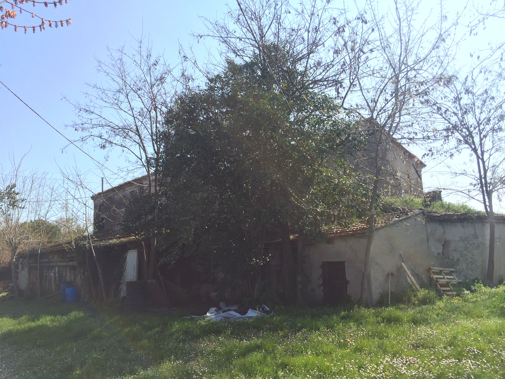 Rustico - Cascina CHIARAVALLE vendita    Anima Casa servizi immobiliari