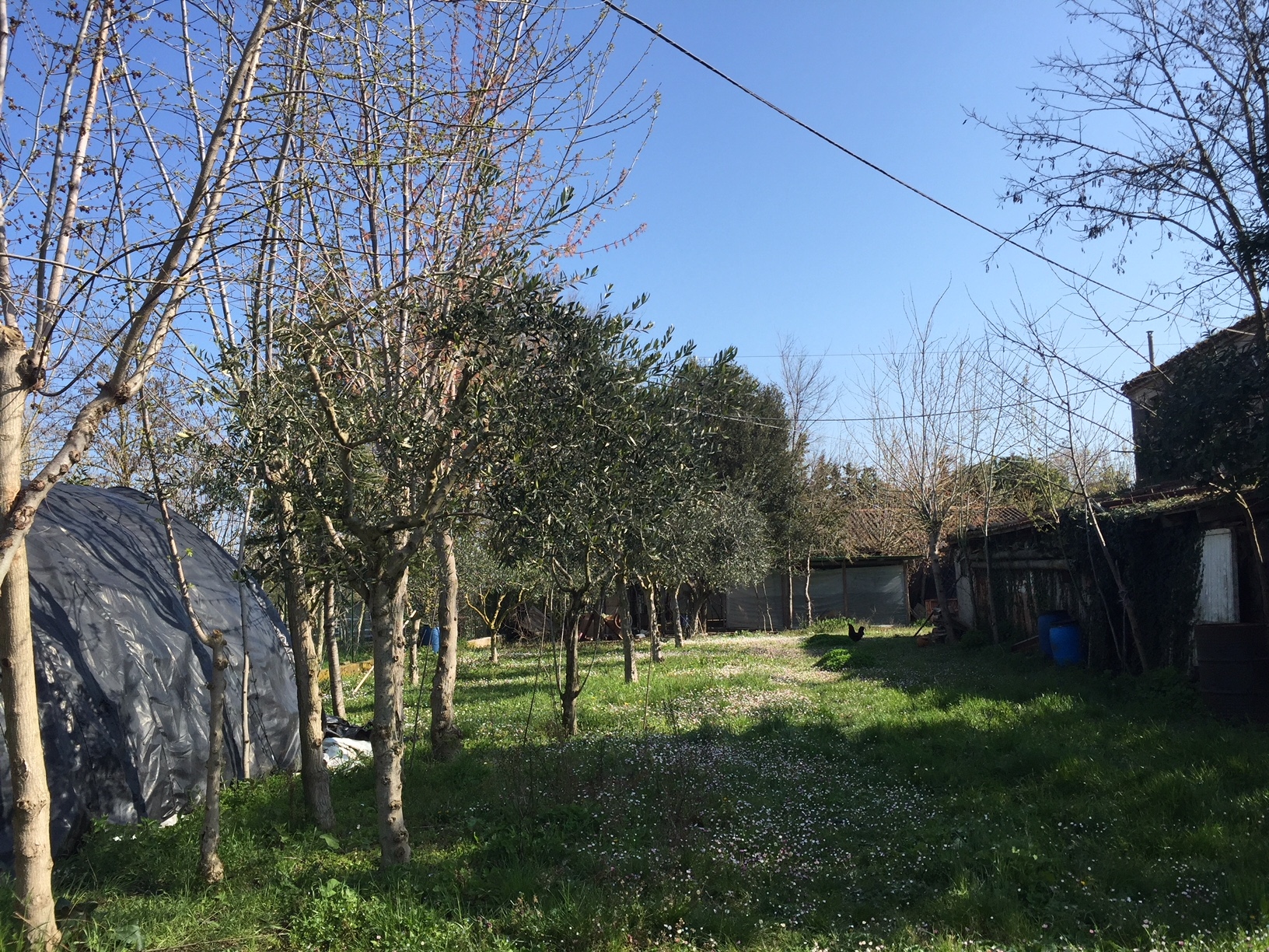 Rustico - Cascina CHIARAVALLE vendita    Anima Casa servizi immobiliari