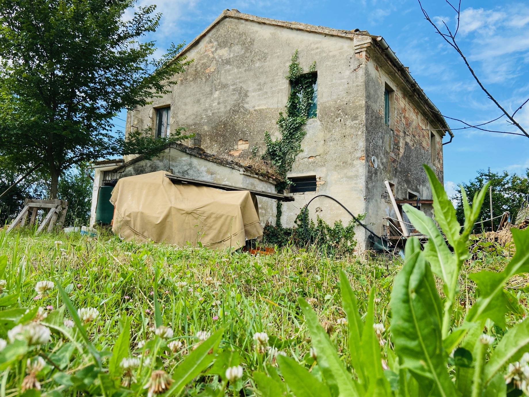  belvedere-ostrense vendita quart:  anima-casa-servizi-immobiliari