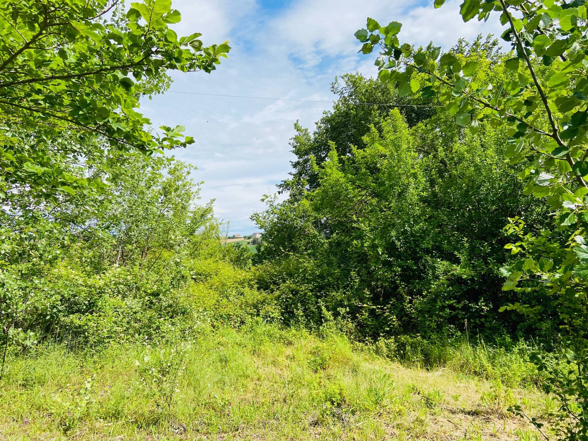 Rustico - Cascina BELVEDERE OSTRENSE vendita    Anima Casa servizi immobiliari