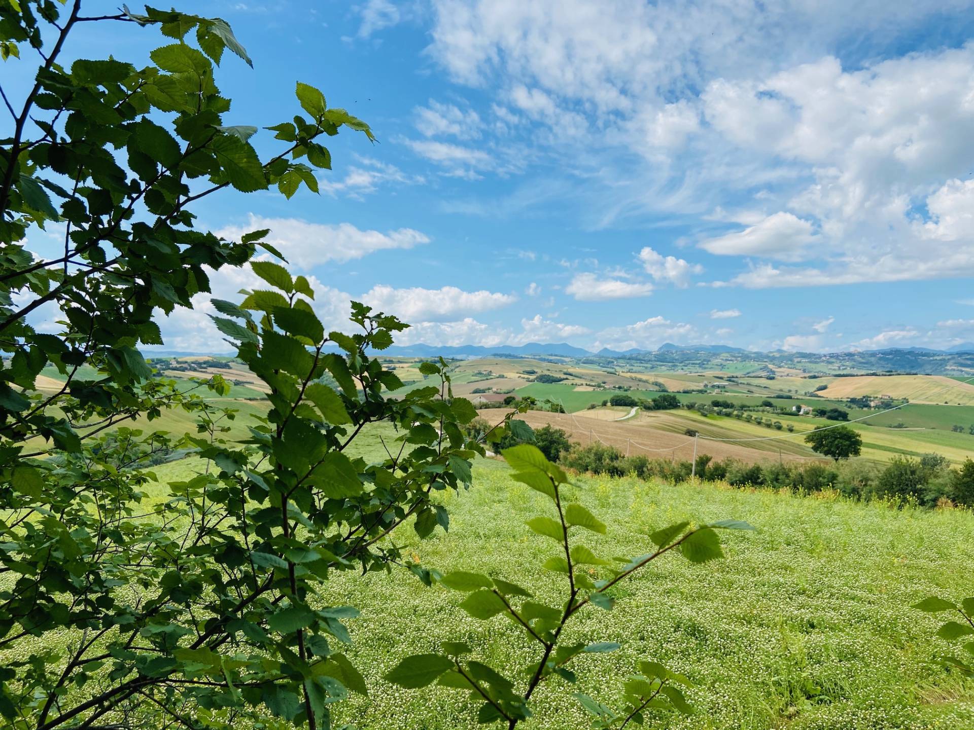 Rustico - Cascina BELVEDERE OSTRENSE vendita    Anima Casa servizi immobiliari