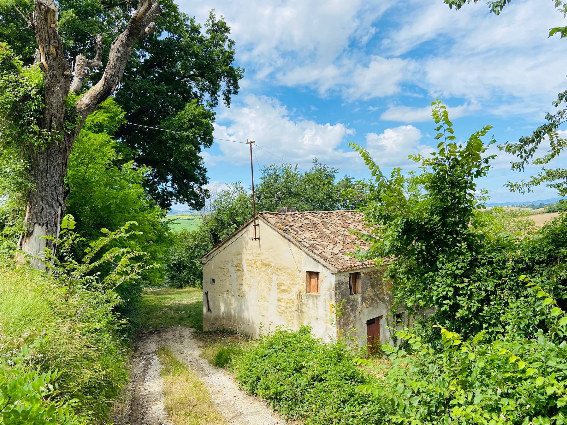 Rustico - Cascina BELVEDERE OSTRENSE vendita    Anima Casa servizi immobiliari