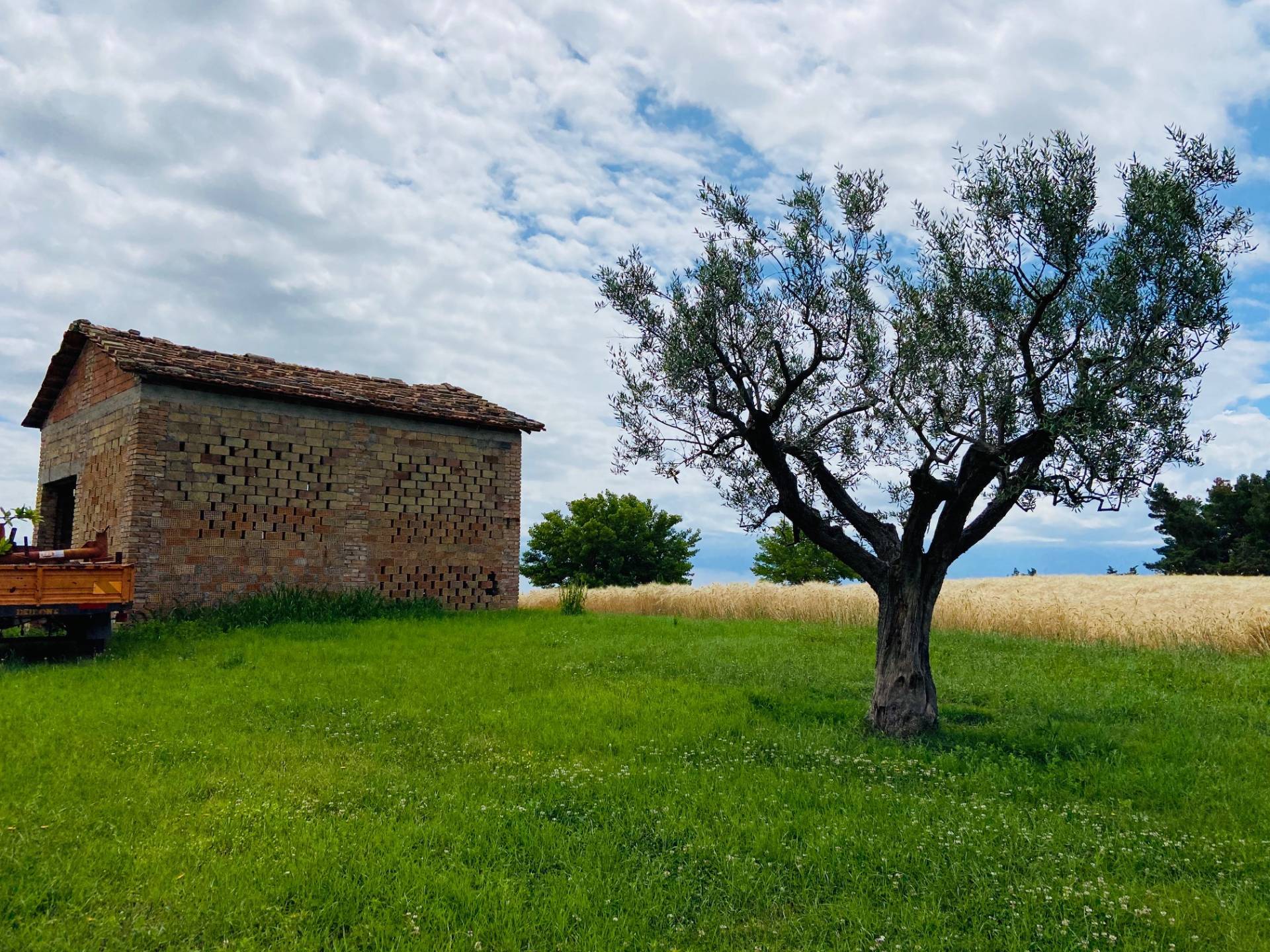 Rustico - Cascina BELVEDERE OSTRENSE vendita    Anima Casa servizi immobiliari