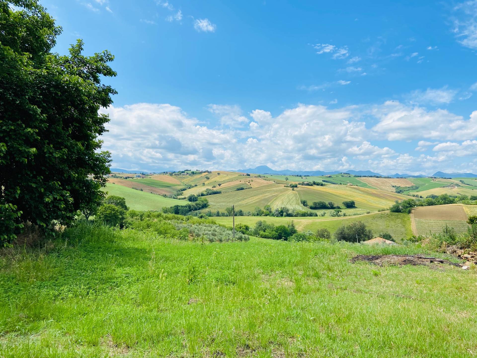 Rustico - Cascina BELVEDERE OSTRENSE vendita    Anima Casa servizi immobiliari