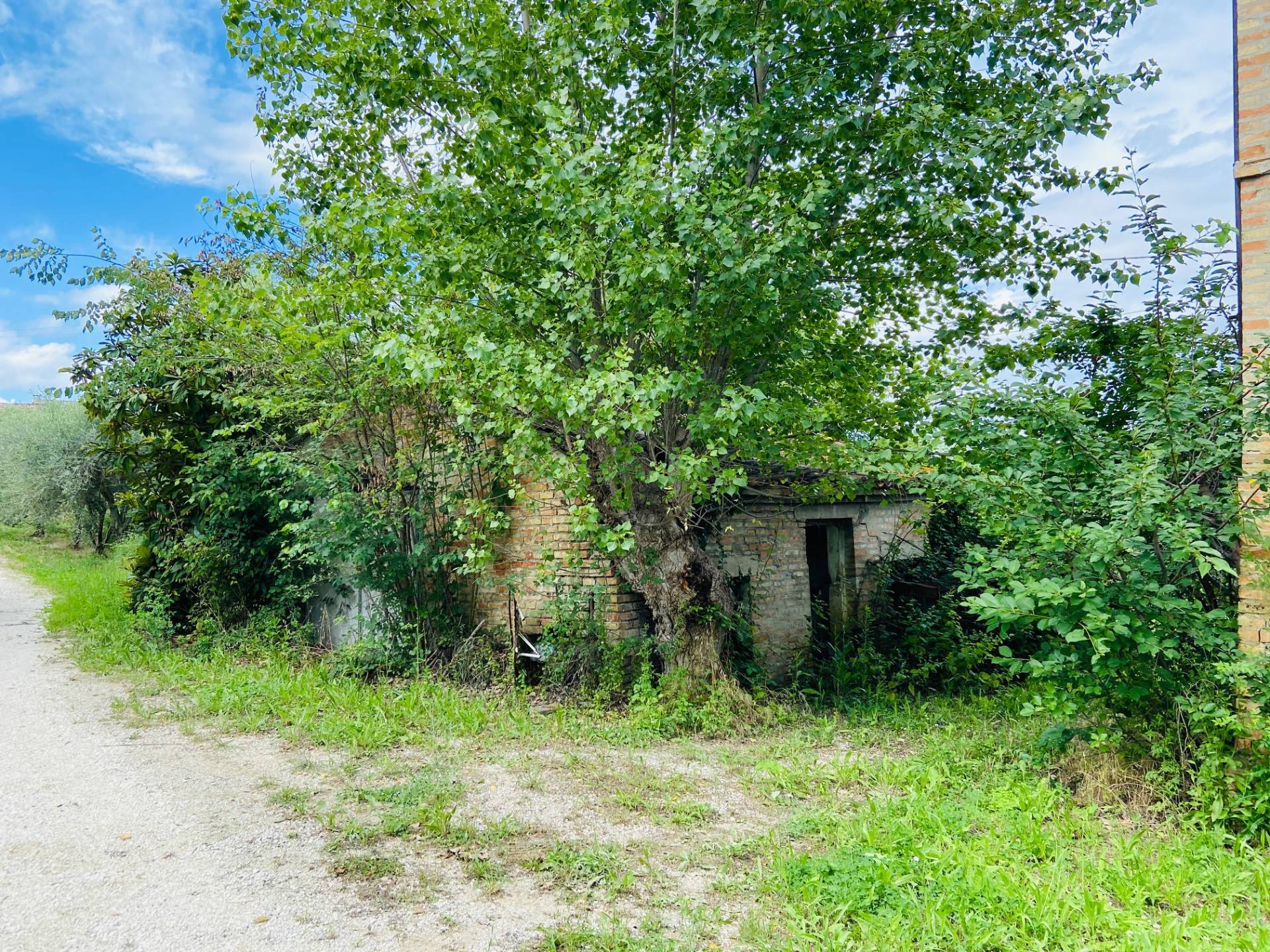 Rustico - Cascina BELVEDERE OSTRENSE vendita    Anima Casa servizi immobiliari