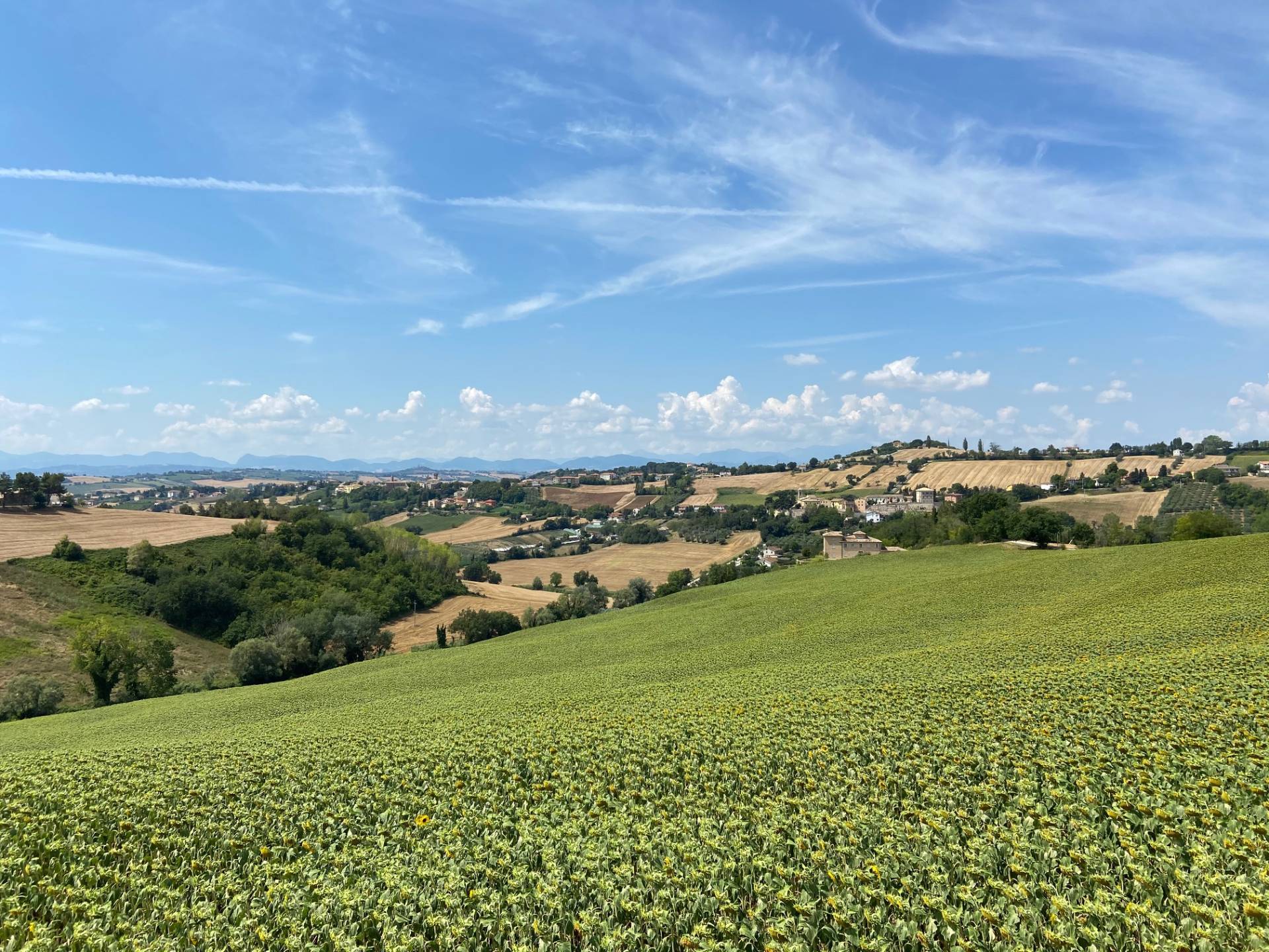 Villa TRECASTELLI vendita    Anima Casa servizi immobiliari