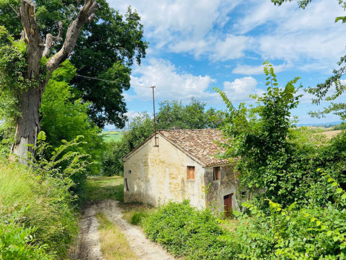 Rustico in vendita a Belvedere Ostrense (AN)