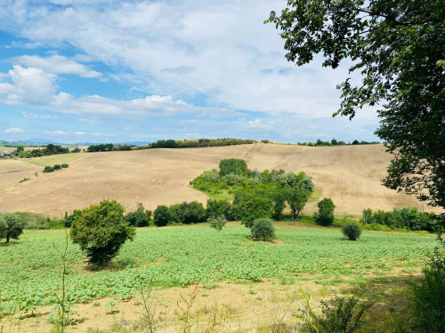 Rustico in vendita a Belvedere Ostrense (AN)