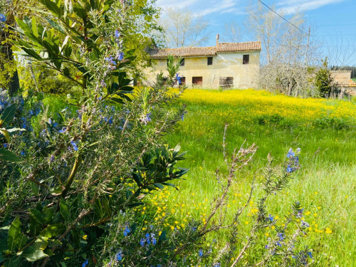 Casolare in Vendita a Monte San Vito
