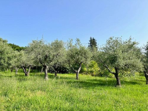 Azienda agrituristica in vendita a Castel Trosino, Ascoli Piceno (AP)