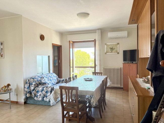 Appartamento in Vendita a Monte San Vito