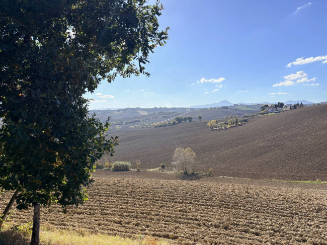 Casolare in Vendita a Belvedere Ostrense
