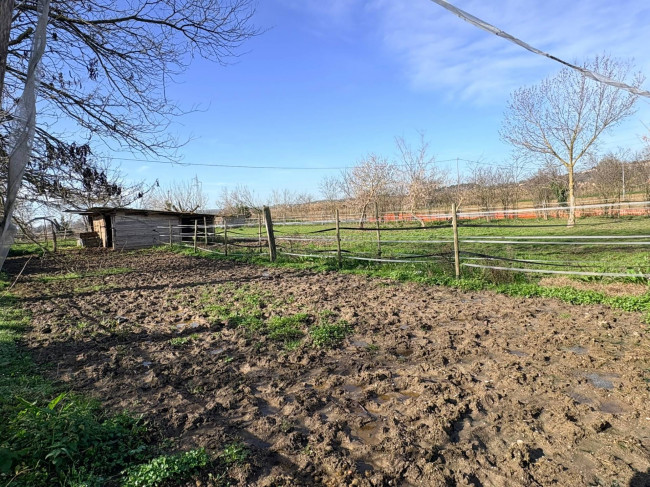 Terreno Agricolo in Vendita a Chiaravalle