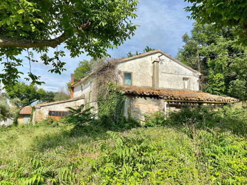 Doppio Casolare in Vendita a Belvedere Ostrense