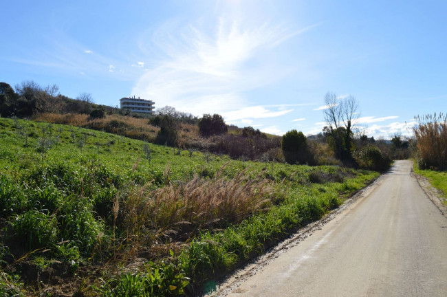Terreno Agricolo in vendita a Vasto
