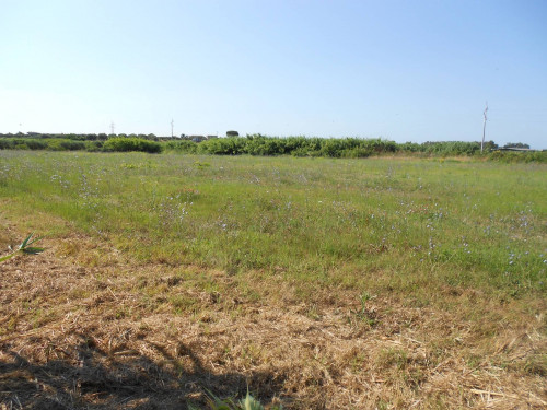 Terreno agricolo in vendita a Cerveteri (RM)