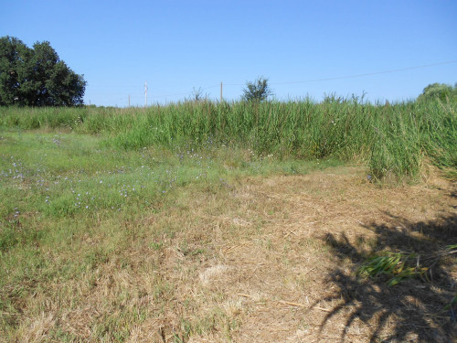 Terreno agricolo in vendita a Cerveteri (RM)