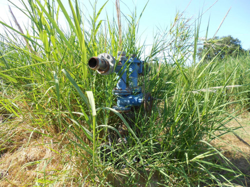 Terreno agricolo in vendita a Cerveteri (RM)