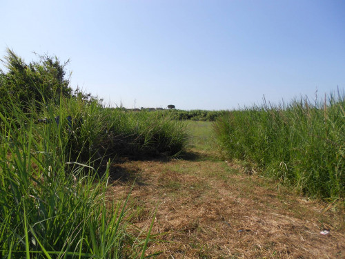 Terreno agricolo in vendita a Cerveteri (RM)