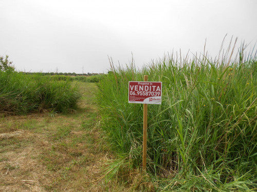 Terreno agricolo in vendita a Cerveteri (RM)