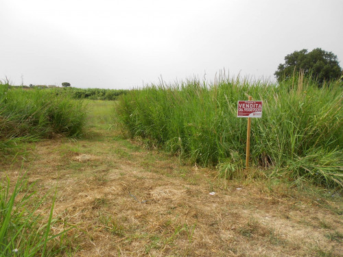 Terreno agricolo in vendita a Cerveteri (RM)