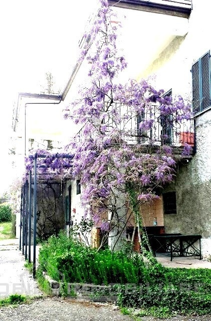 Villa BORGO PRIOLO vendita  Staghiglione  Immobiliare Clastidium di Diani Maria Elena Sadie e C. snc