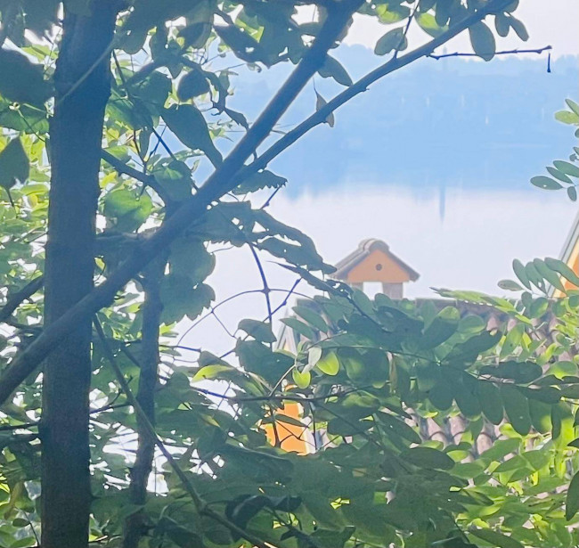 Terreno edificabile in Vendita a Pusiano