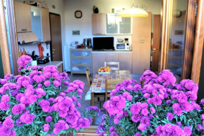Appartamento in affitto a Pieve di Soligo