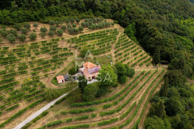 Casa singola in vendita a Cison di Valmarino