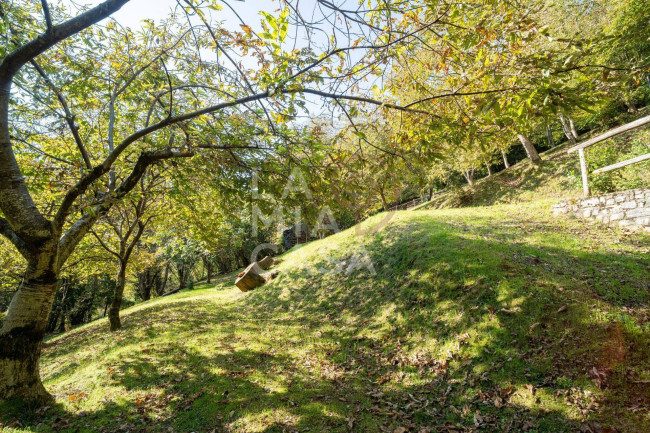 Rustico in vendita a Miane