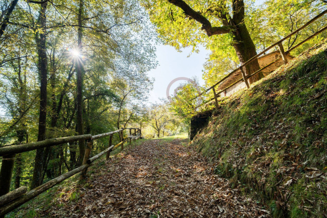 Rustico in vendita a Miane