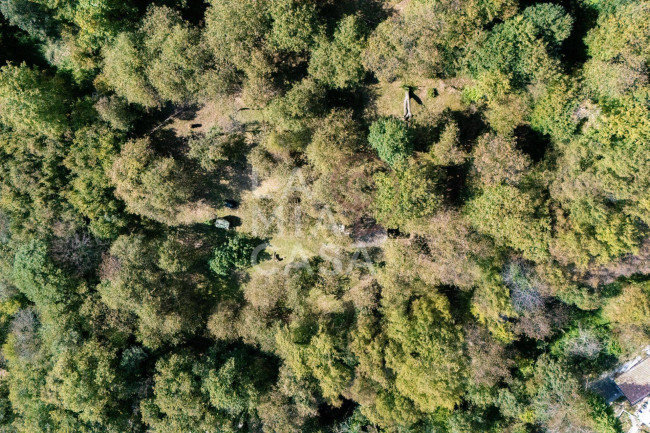 Rustico in vendita a Miane