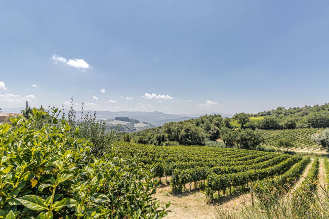 Villa in vendita a Montecatini Val di Cecina