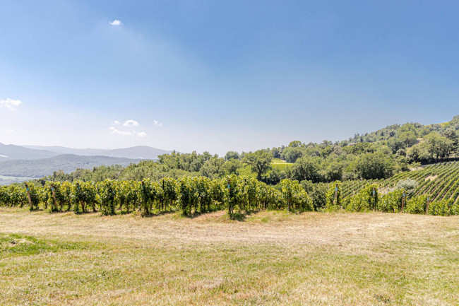 Villa in vendita a Montecatini Val di Cecina
