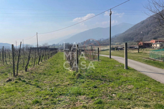 Terreno Agricolo in vendita a Cison di Valmarino