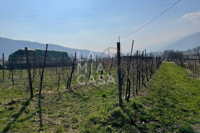 Terreno Agricolo in vendita a Cison di Valmarino