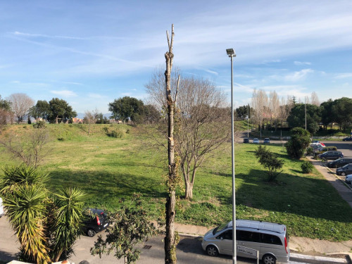 Appartamento in vendita a Roma - Torraccia