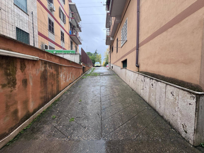 Magazzino in affitto a Roma - San Basilio