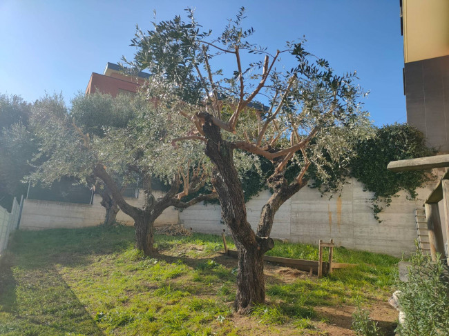 Appartamento in vendita a Fonte Nuova - Tor Lupara