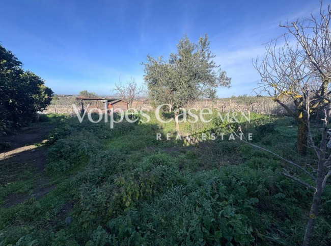 Villa in vendita a Marino - Cava dei Selci