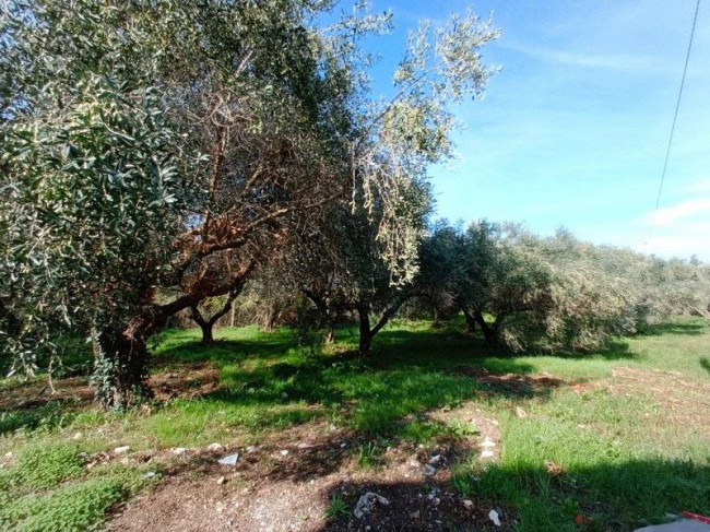 Casa indipendente in vendita a Velletri (RM)