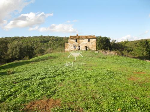 Azienda Agricola in vendita a Gavorrano