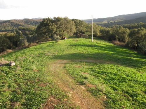 Azienda Agricola in vendita a Gavorrano