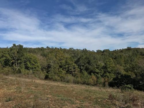 Azienda Agricola in vendita a Gavorrano