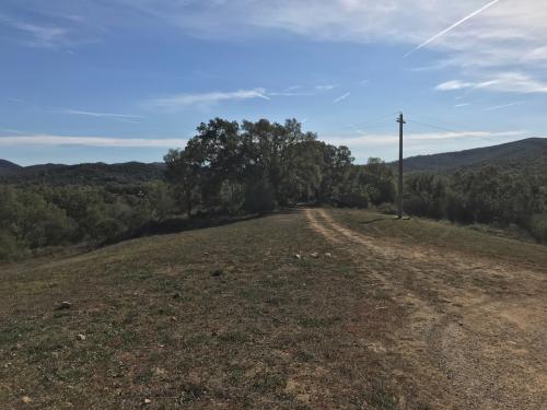 Azienda Agricola in vendita a Gavorrano