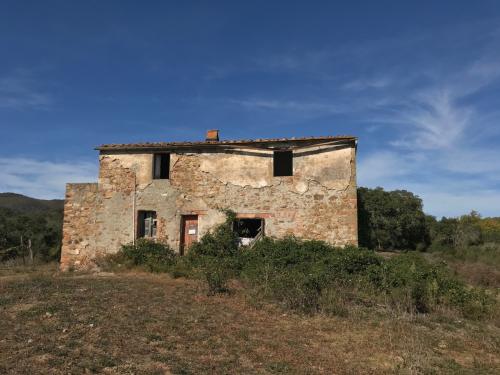 Azienda Agricola in vendita a Gavorrano