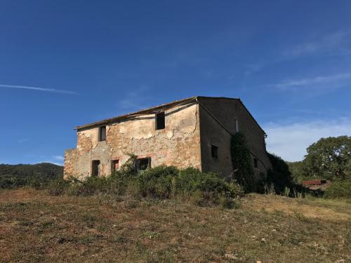 Azienda Agricola in vendita a Gavorrano